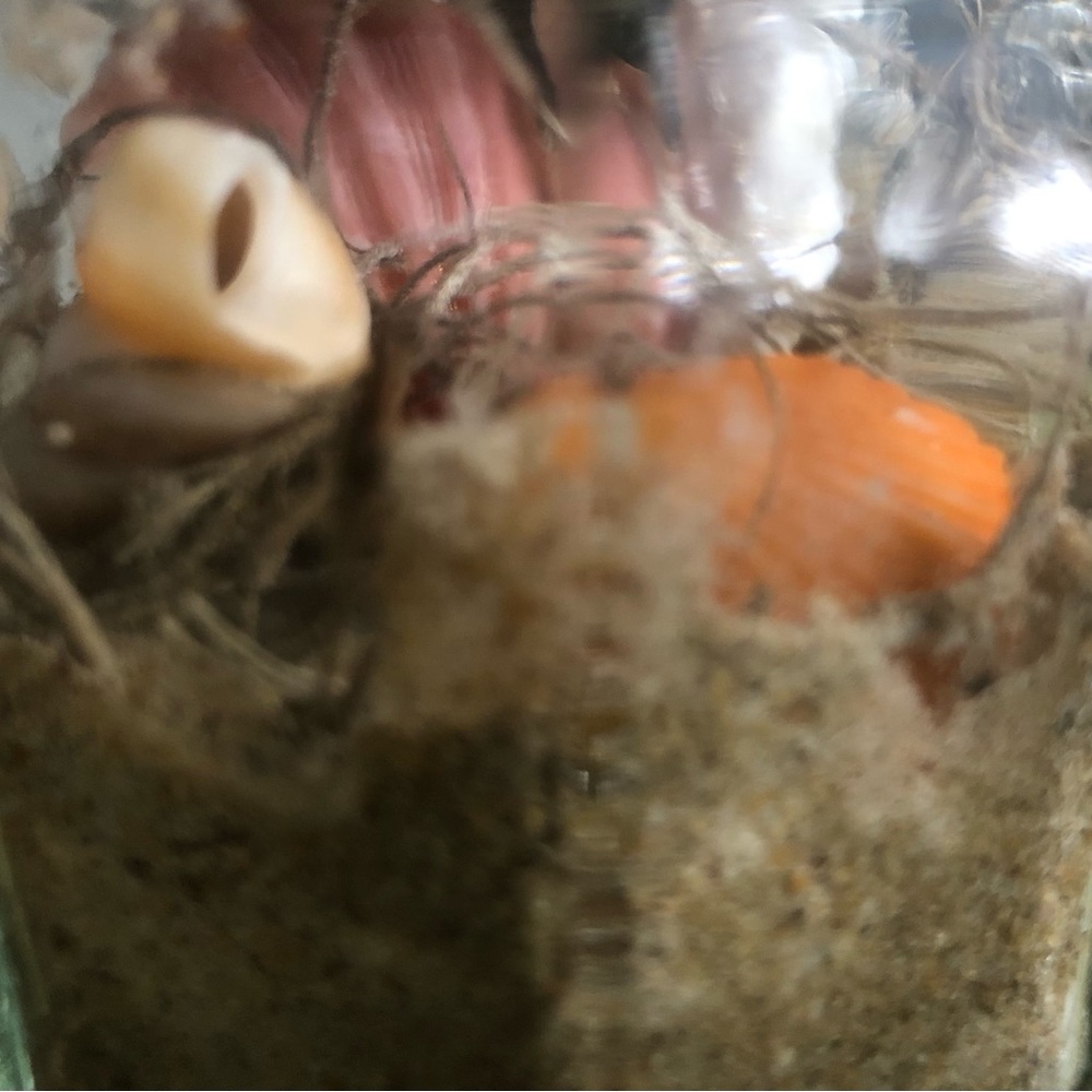 Handcrafted Glass Decor “Shells & Sand” - Picture 3 of 3